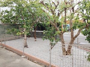 島田市　外構工事