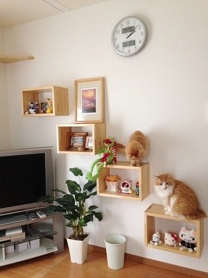 牧之原市　リフォーム