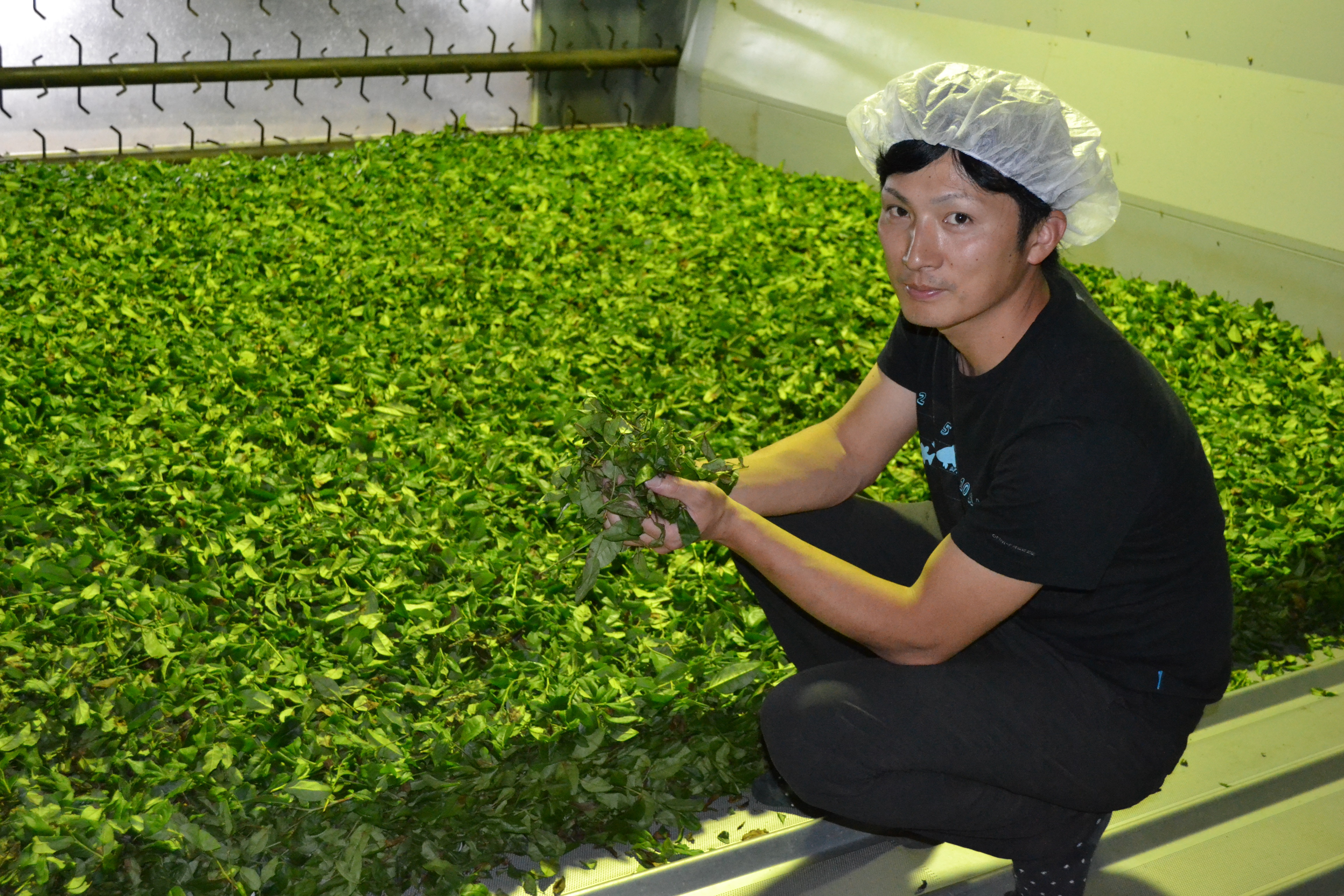 静岡市清水区のお茶と和紅茶のカフェ GREEN∞CAFE(グリーンエイトカフェ)