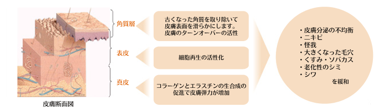 ハーバルピール