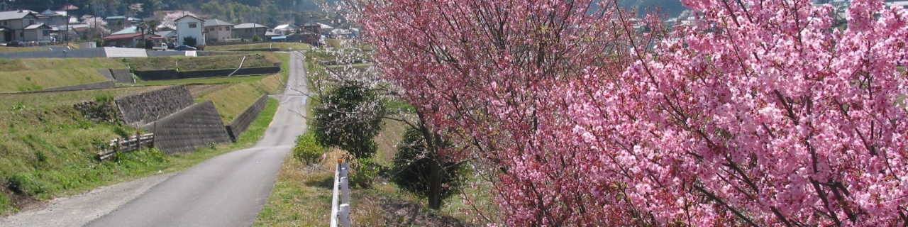 お客様の声 ~春~