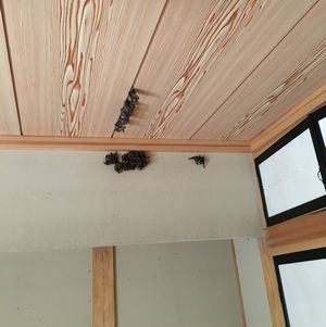 空き家・部屋の中
