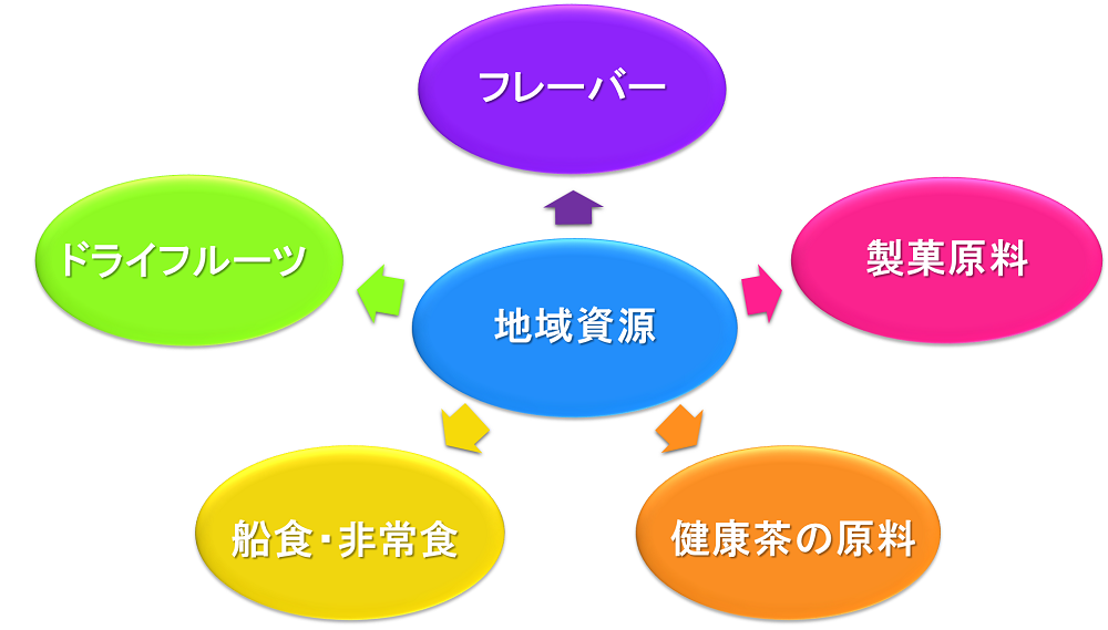 ドライフード