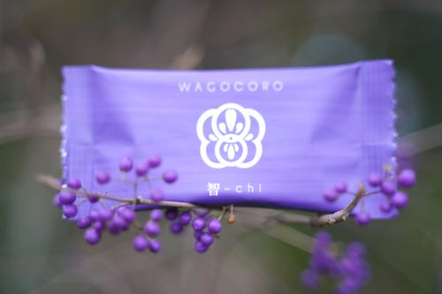 智