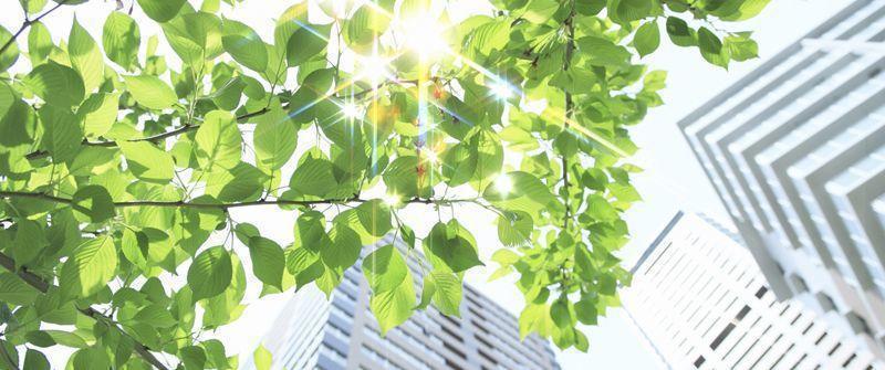 会社概要イメージ