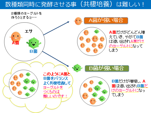 智通？もっと詳しく・・・click | 腸内環境のことなら智通沖縄 / 有限 ...